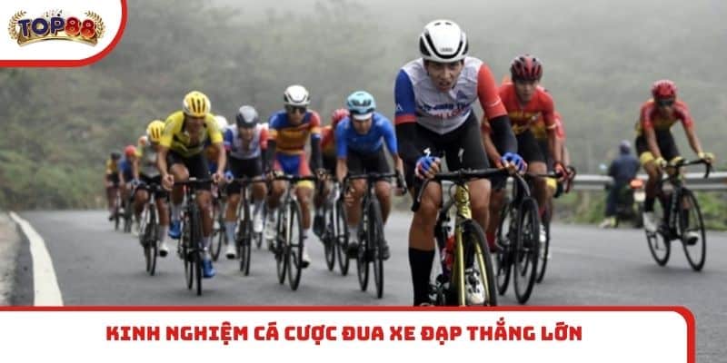 Kinh nghiệm cá cược đua xe đạp thắng lớn