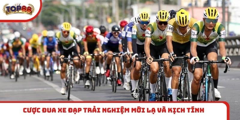 Cược đua xe đạp trải nghiệm mới lạ và kịch tính
